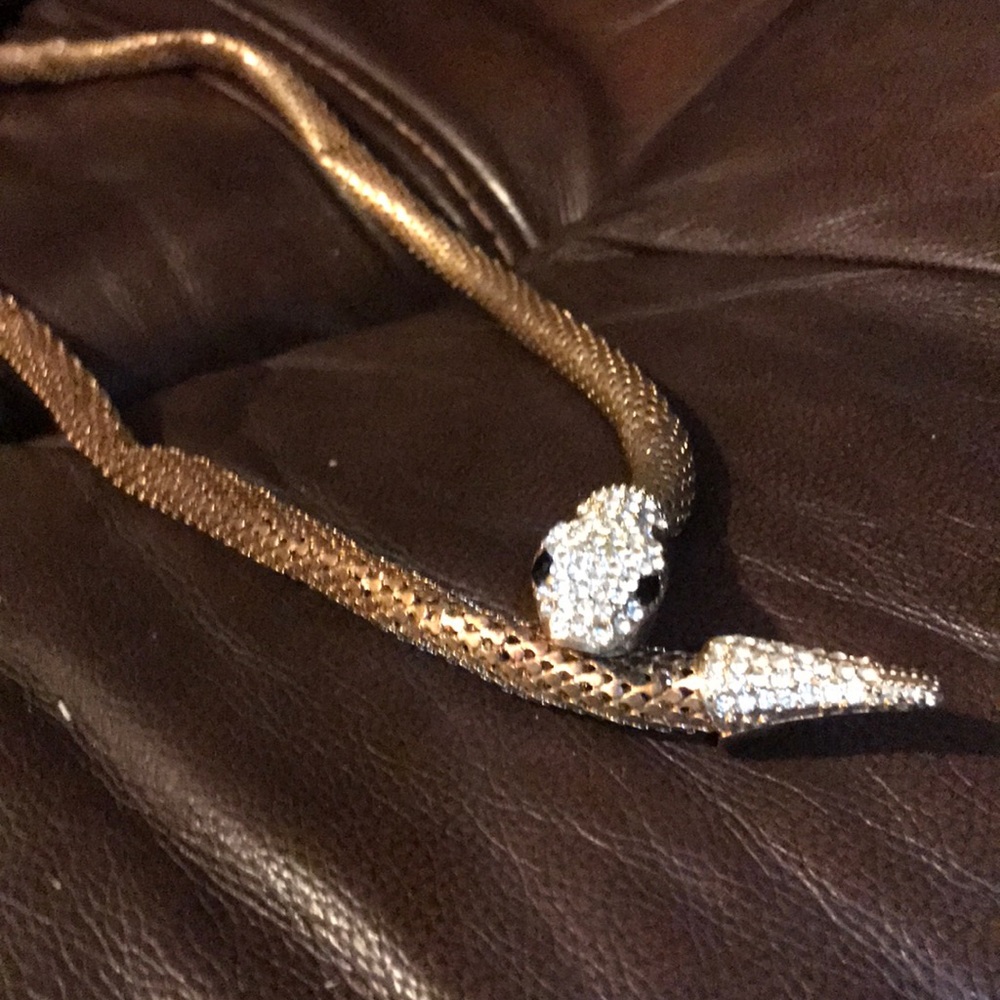 Snake belt